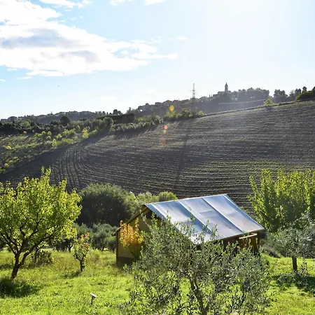 Apartment In Marche With Pool Near Adriatic Lägenhet