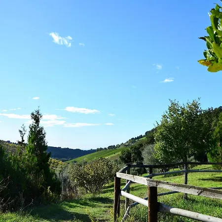 Lägenhet Apartment In Marche With Pool Near Adriatic
